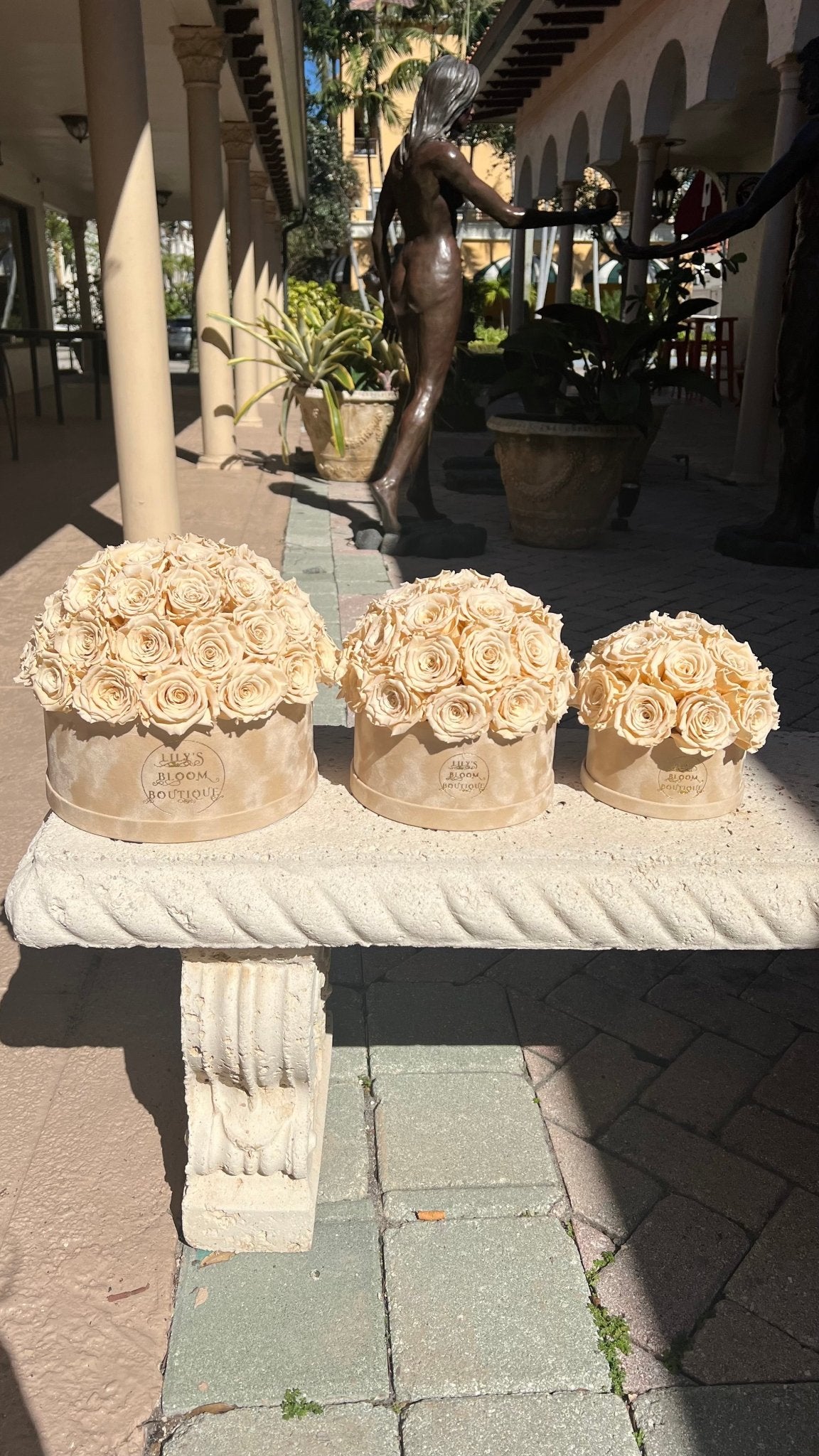 Soft Cream Forever Roses (Large) - Lily's Bloom Boutique