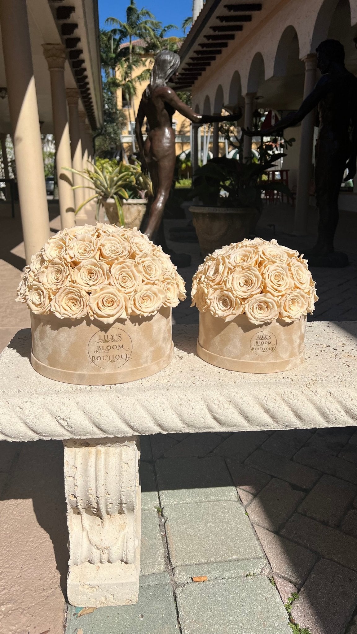 Soft Cream Forever Roses (Medium) | Lily's Bloom Boutique