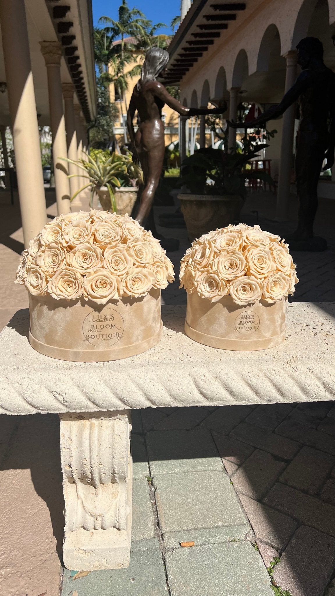 Soft Cream Forever Roses (Small) - Lily's Bloom Boutique