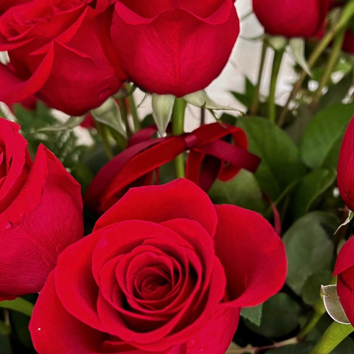 100 Premium Red Roses Monstera Vase | Lily's Bloom Boutique