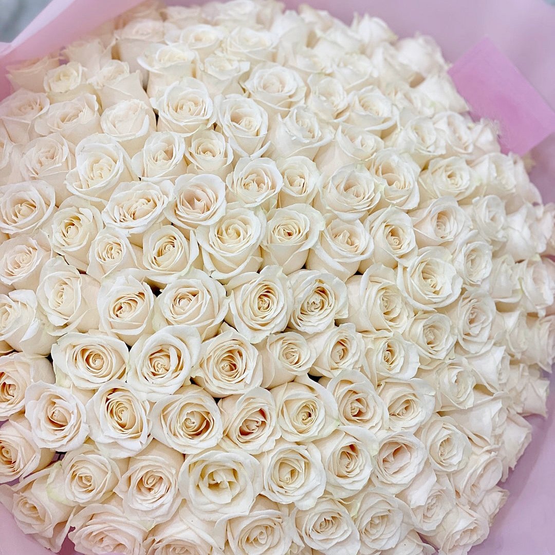 100 White Roses Hand-Tied Bouquet - Lily's Bloom Boutique