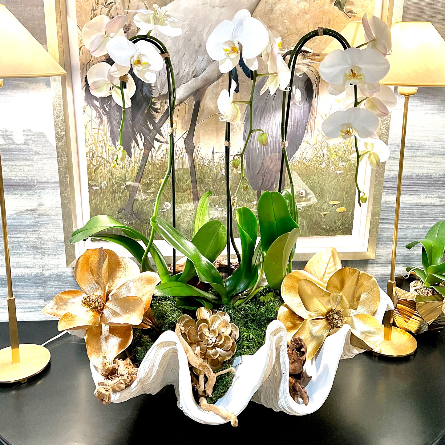 Cupid's Arrows Orchids in Shell