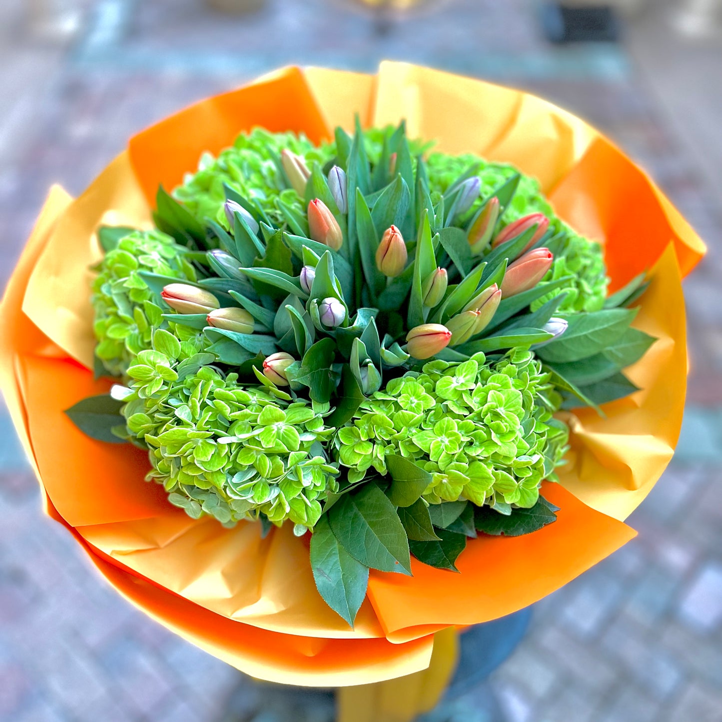 Hydrangeas with tulips wrapped with orange paper