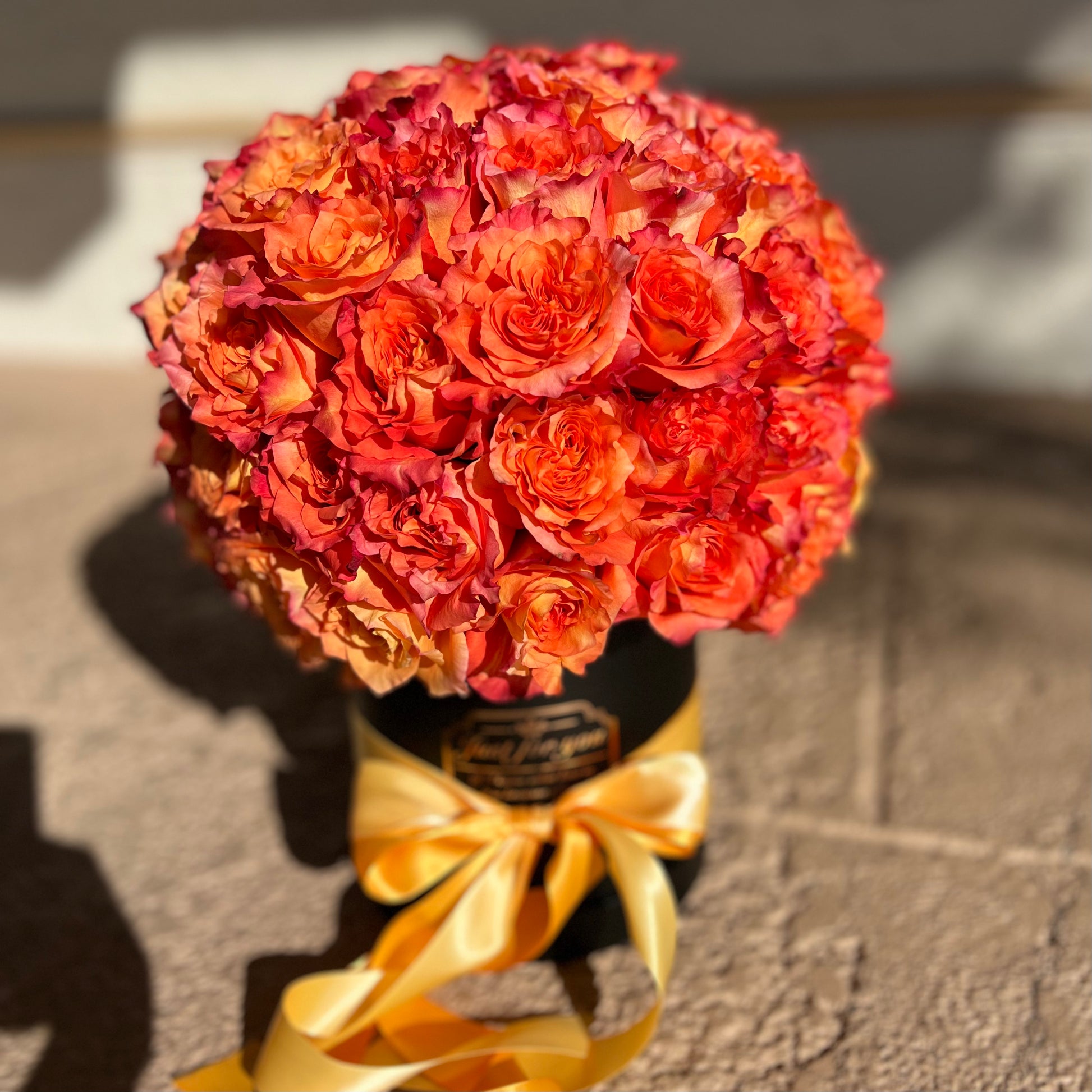 Peach roses in the black box