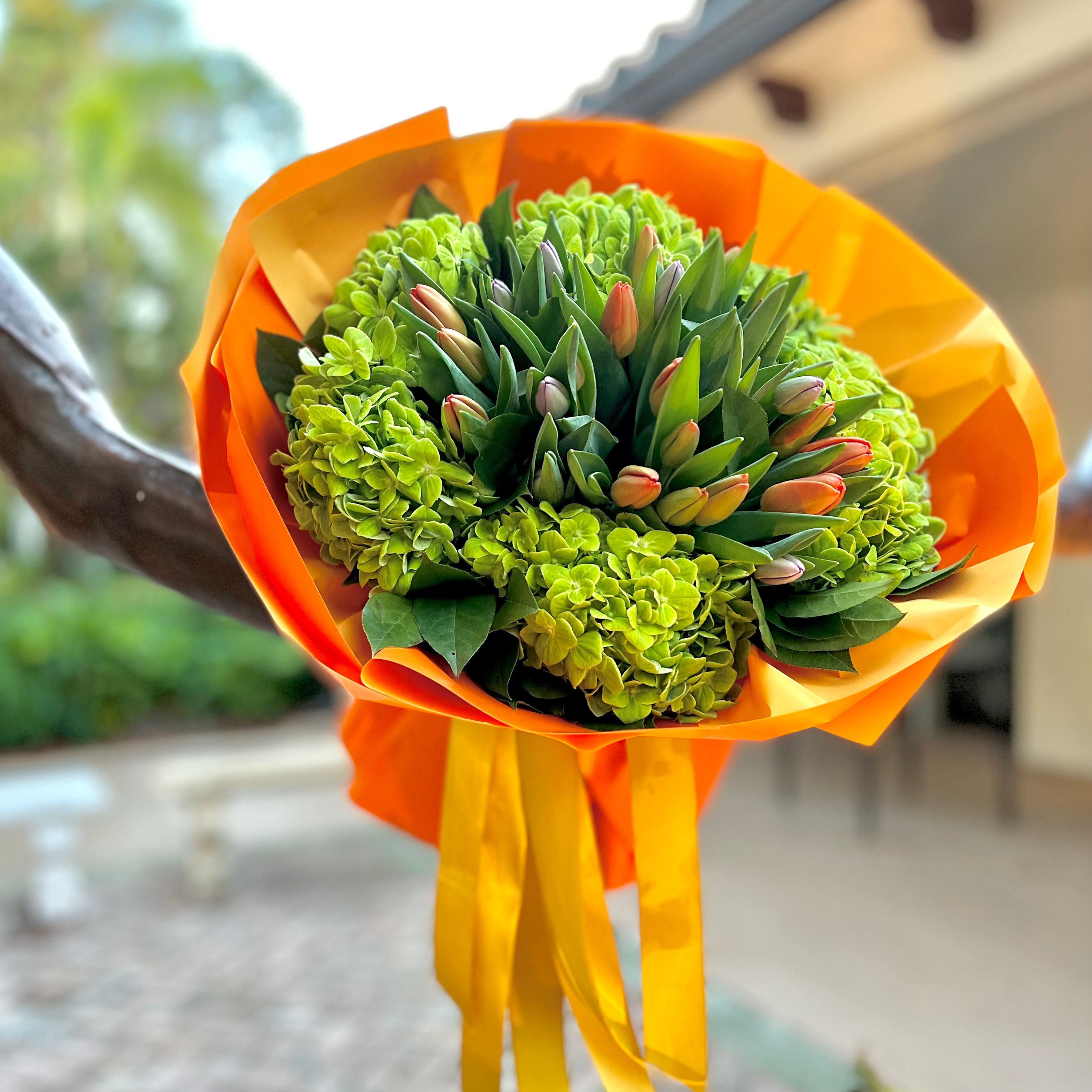 Radiant Tulip Bouquet in hand